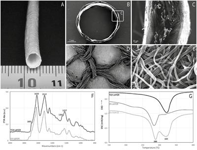 Three-Layered Silk Fibroin Tubular Scaffold for the Repair and Regeneration of Small Caliber Blood Vessels: From Design to in vivo Pilot Tests